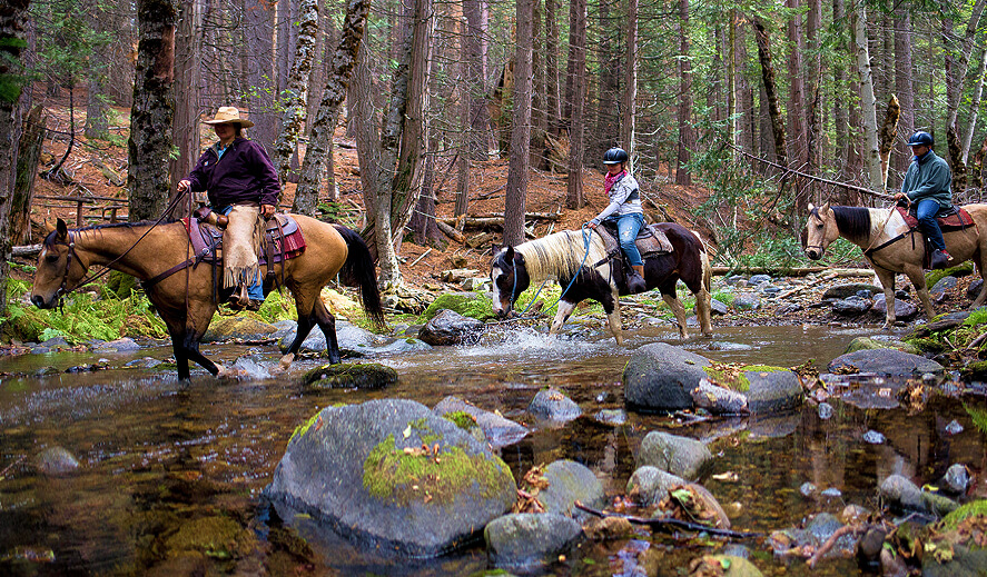 Horseback Riding Tours Yosemite Trails Horseback Adventures
